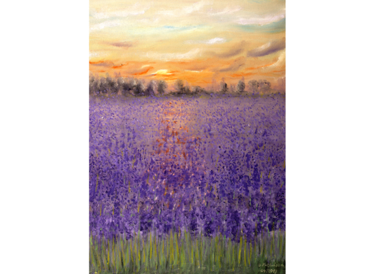 Obraz na płótnie 100 x 70 cm Pole Lawendy