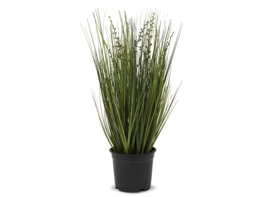 Roślina dekoracyjna trawa 54 cm