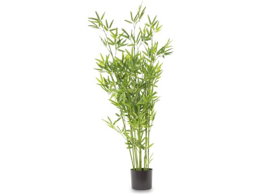 Roślina dekoracyjna bambus 123 cm