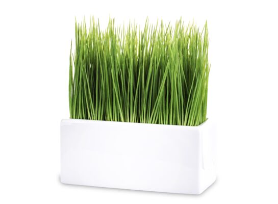 Roślina dekoracyjna trawa 23 cm