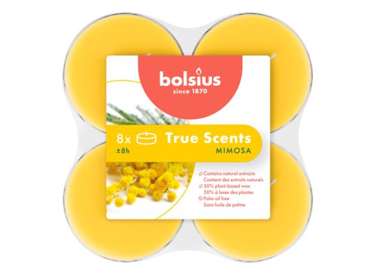 Podgrzewacze zapachowe maxi 8 h 8 szt. Bolsius