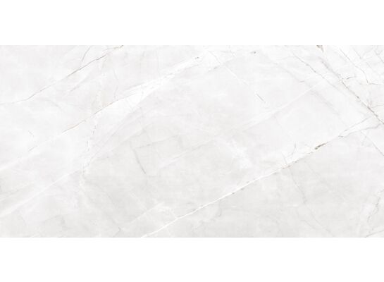 Gres szkliwiony rektyfikowany ROYAL VALENCIA SILVER GREY 60 x 120 cm polerowany