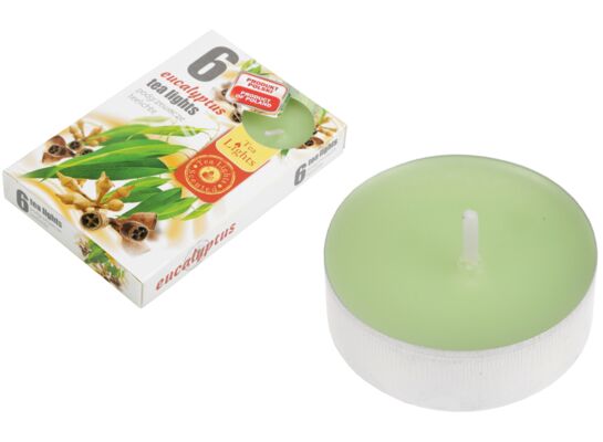 Podgrzewacz zapachowy eukaliptus 6 szt.