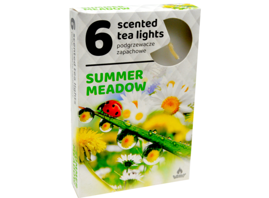 Podgrzewacz zapachowy letnia łąka 6 szt.