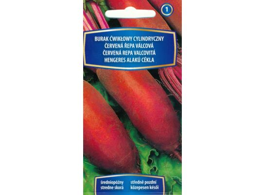 Burak ćwikłowy cylindryczny 5 g C1