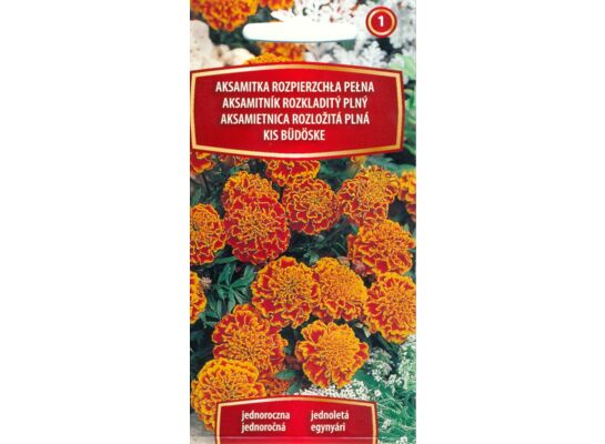 Aksamitka rozpierzchła pełna mix 0,5 g C1