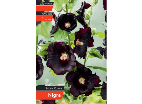 Malwa Niger kapers I