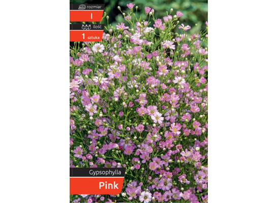 Gipsóka Pink kapers I