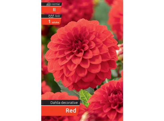 Dalia Decorative Red II kapers