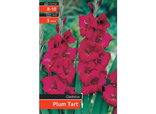 Mieczyk Plum Tart kapers 8-10