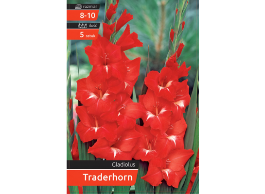 Mieczyk Traderhorn kapers 8-10