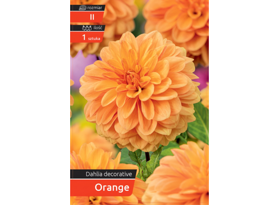 Dalia Decorative Orange kapers II