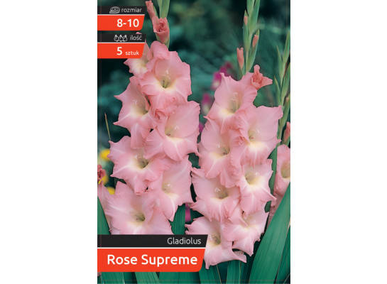 Mieczyk Rose Supreme kapers  8-10