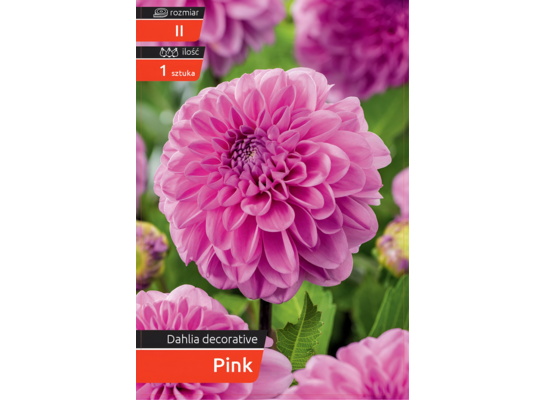 Dalia Decorative Pink kapers II