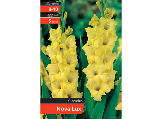 Mieczyk Nova Lux kapers 8-10