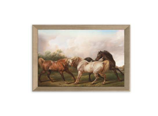 Obraz Paris Pic 50 x 70 cm PP017 Horses