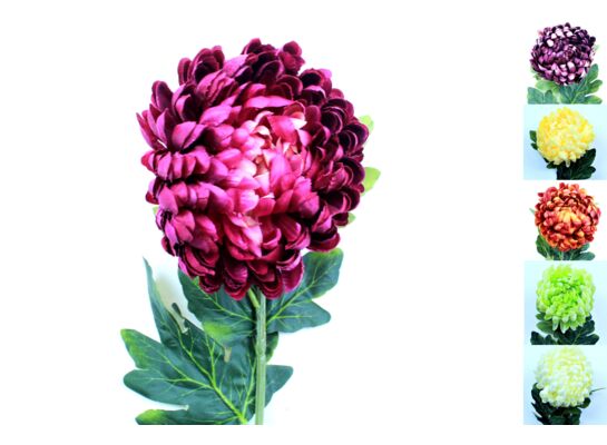 Chryzantema 75 cm mix kolorów