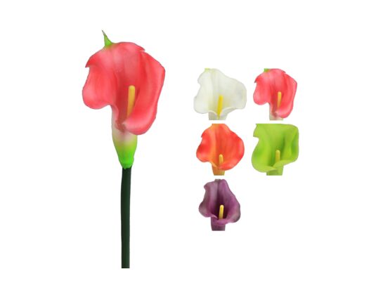 Kalia 68 cm mix kolorów