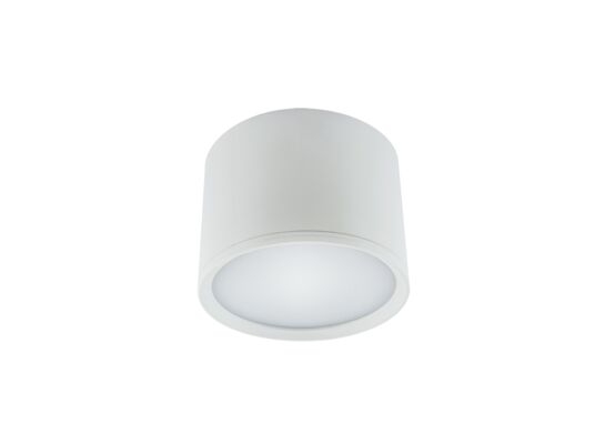 Oprawa sufitowa ROLEN LED 7 W biały NW STRÜHM