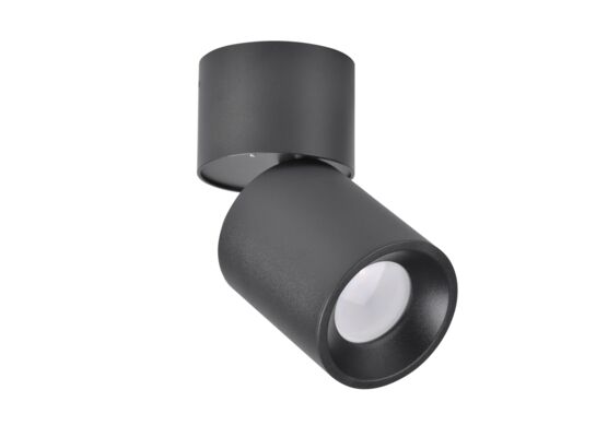 Oczko przegubowe natynkowe Nixa 10 W czarny Polux