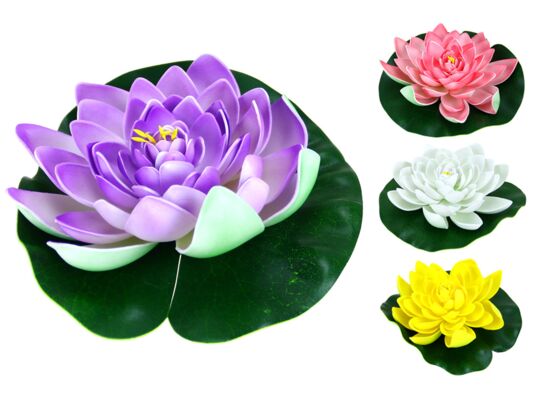 Lilia wodna 20 cm mix wzorów