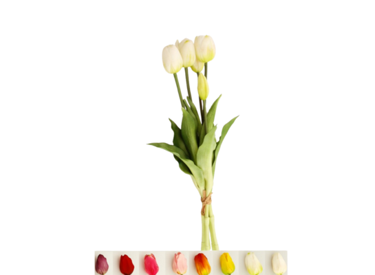 Bukiet tulipanów 5 główek gumowany mix kolorów 39 cm
