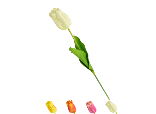 Tulipan pojedynczy 57 cm mix kolorów