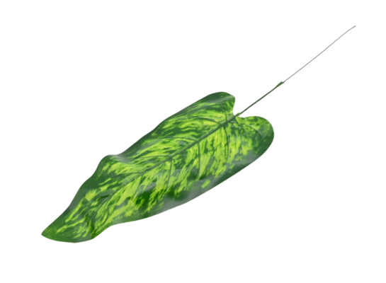 Liść ozdobny pojedynczy 50 cm zielony