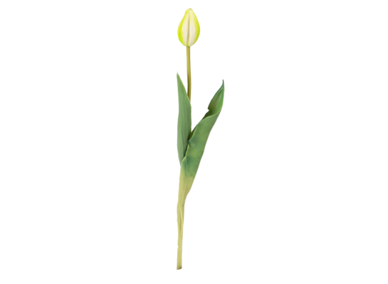 Tulipan pojedynczy gumowany mix kolorów 41 cm