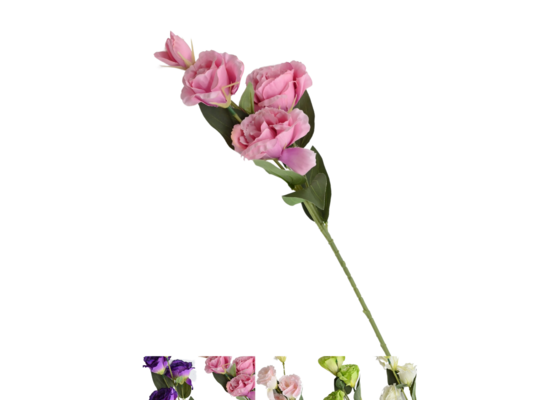 Eustoma gałązka mix kolorów 70 cm