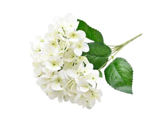 Bukiet hortensji 5 główek 45 cm mix kolorów