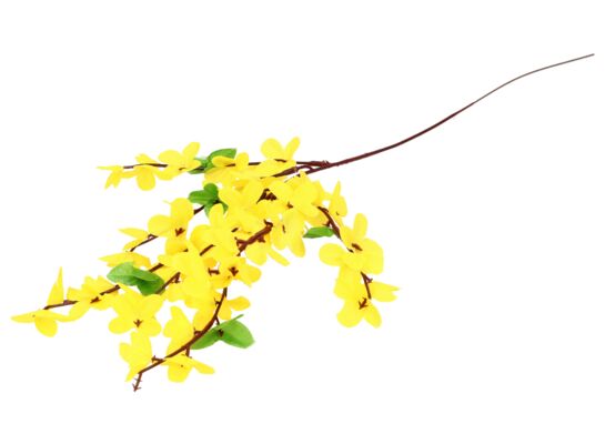 Kwiat forsycja 80 cm żółty