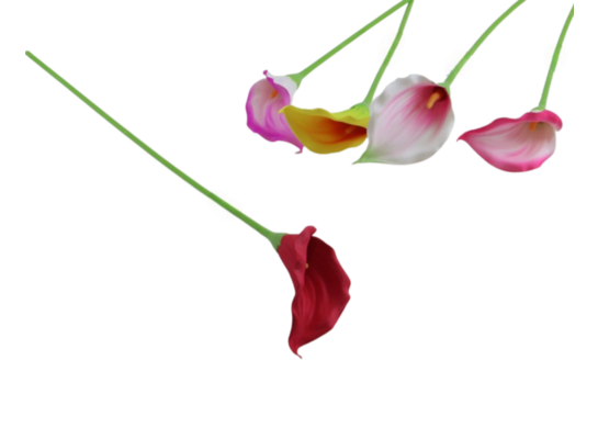 Kwiat kalia 63 cm mix kolorów