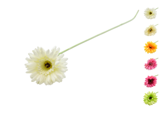 Gerbera pojedyncza 52 cm mix kolorów