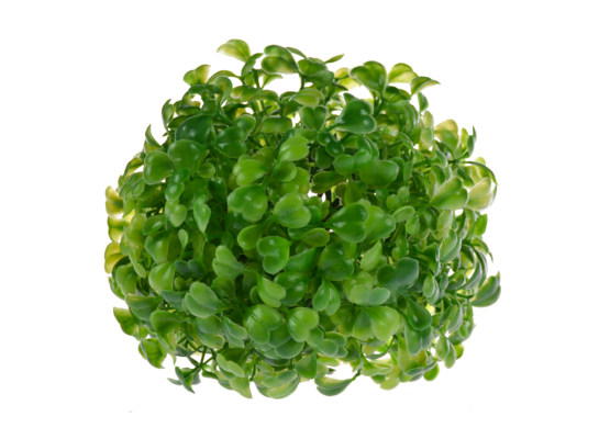 Kula bukszpanu dekoracyjna średnica 12 cm zielony