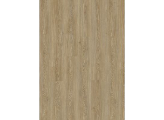 Panel podłogowy Dąb Gerbil AC4 7 mm