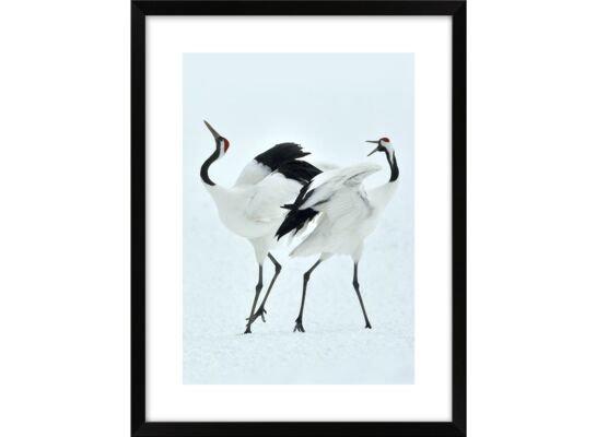 Obraz 30 x 40 cm K3040,117