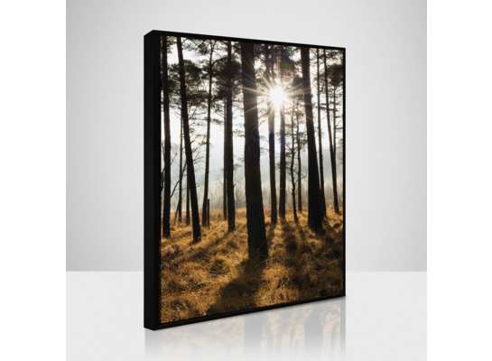 Obraz 50 x 70 cm SB 086L18,37,001