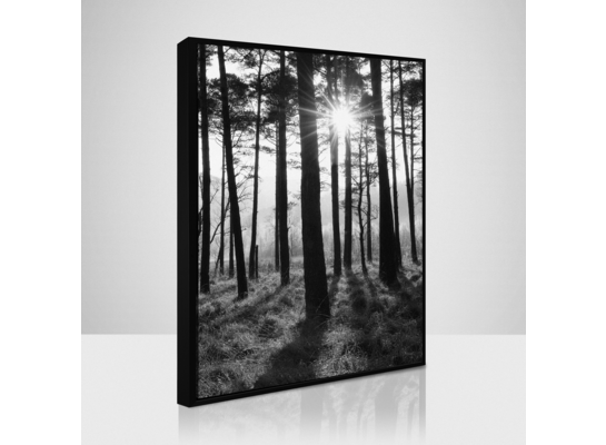 Obraz 50 x 70 cm SB 087L18,37,001