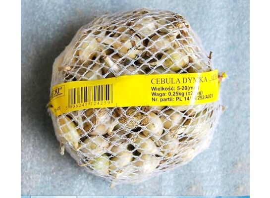 Cebula dymka Alibaba biała II 10 - 15 mm 0,25 kg