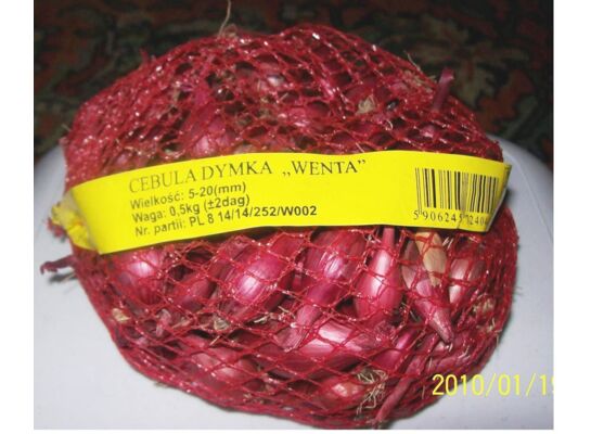 Cebula dymka Wenta czerwona II 10 - 15 mm 0,25 kg