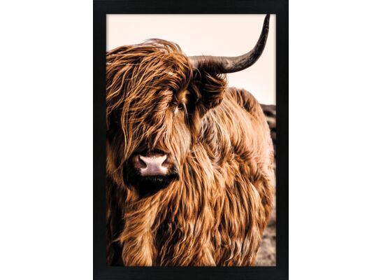 Obraz 21 x 29,7 cm K2030,006