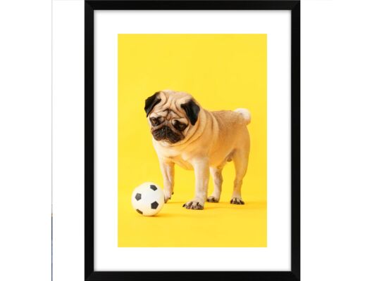 Obraz 30 x 40 cm K3040,094