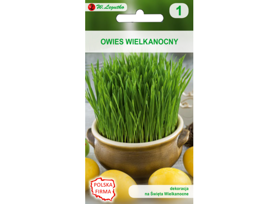 Nasiona Owies wielkanocny 20 g