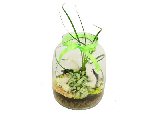 Rośliny mix osłonka szklana 1032