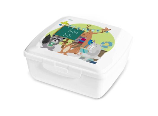 Lunch box 0,85 l - FOREST TEAM