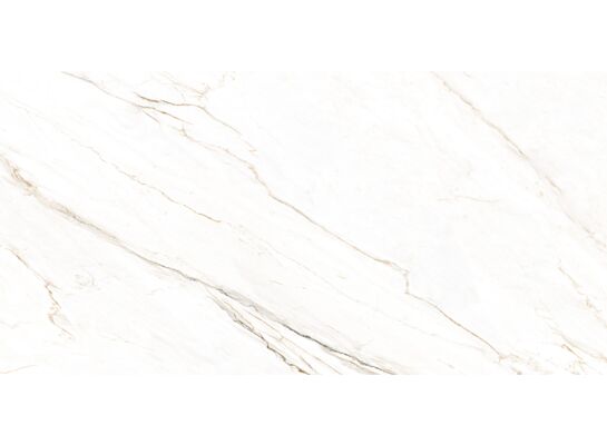 Gres szkliwiony WHITENED 60 x 120 cm rektyfikowany CARVING