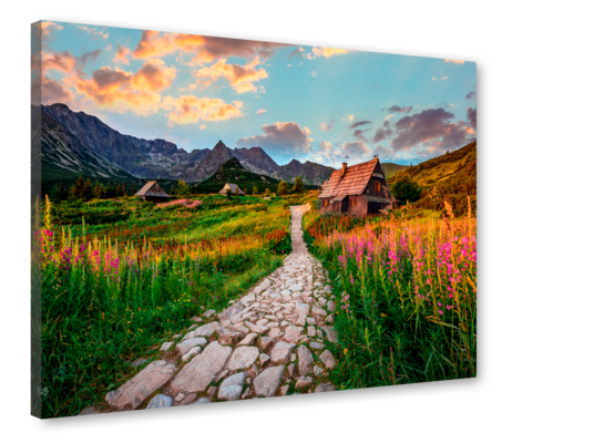 Obraz Canvas 85 x 113 cm ST698 Hala