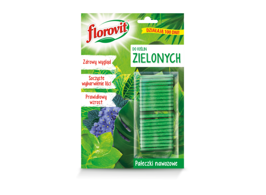 Nawóz do roślin zielonych blister 20 g Florovit